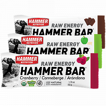 HAMMER NUTRITION Raw Energy Bar Testpaket | BIO DE-KO-006