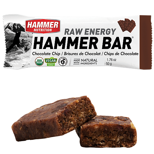 Hammer Nutrition Raw Energy Bar Chocolate Chip (50 g)