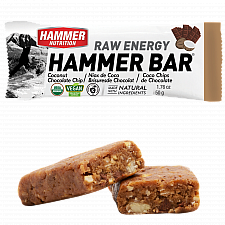 HAMMER NUTRITION Raw Energy Bar | BIO DE-KO-006