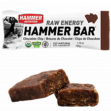 HAMMER NUTRITION Raw Energy Bar | BIO DE-KO-006