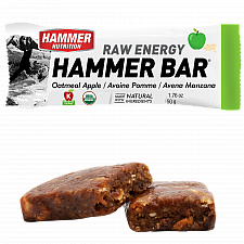 HAMMER NUTRITION Raw Energy Bar | BIO DE-KO-006