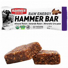 HAMMER NUTRITION Raw Energy Bar | BIO DE-KO-006