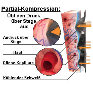 X Bionic Accumulator Partial Kompression Evo